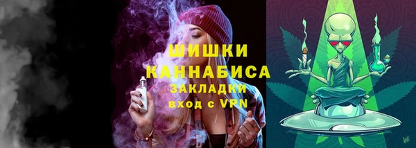 2c-b Гусев