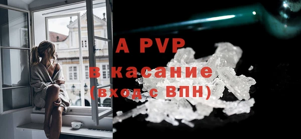 шишки Гусь-Хрустальный