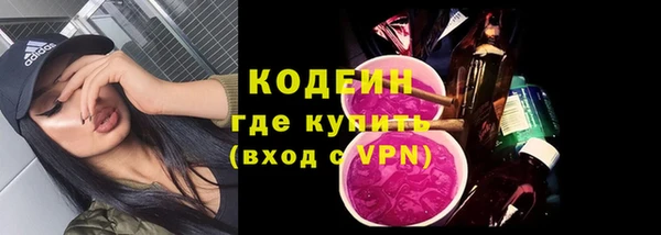 шишки Гусь-Хрустальный