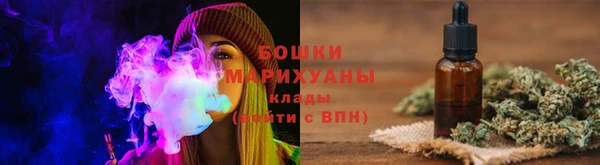 шишки Гусь-Хрустальный