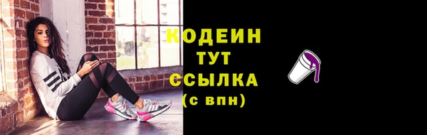 2c-b Гусев