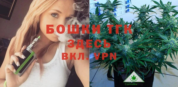 гашик Дмитровск