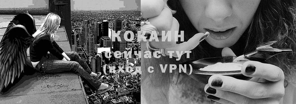 Альфа ПВП Дмитриев