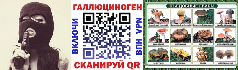 Купить закладки  Сельцо  Галлюциногенные грибы MAGIC MUSHROOMS 