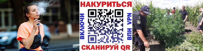 Купить где  Сельцо  Каннабис AK-47 